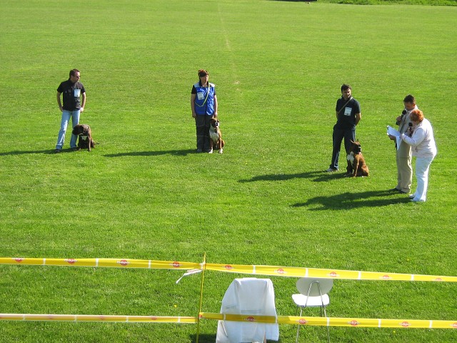 www.atibox.net * www.euroboxer.eu * www.boxergenealogia.eu
